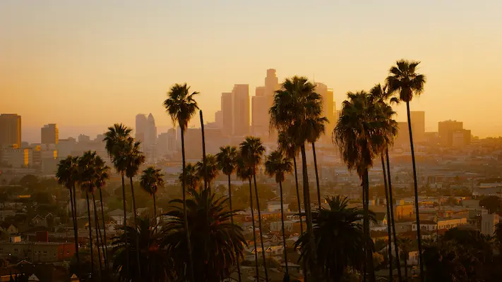 pest-control in los-angeles