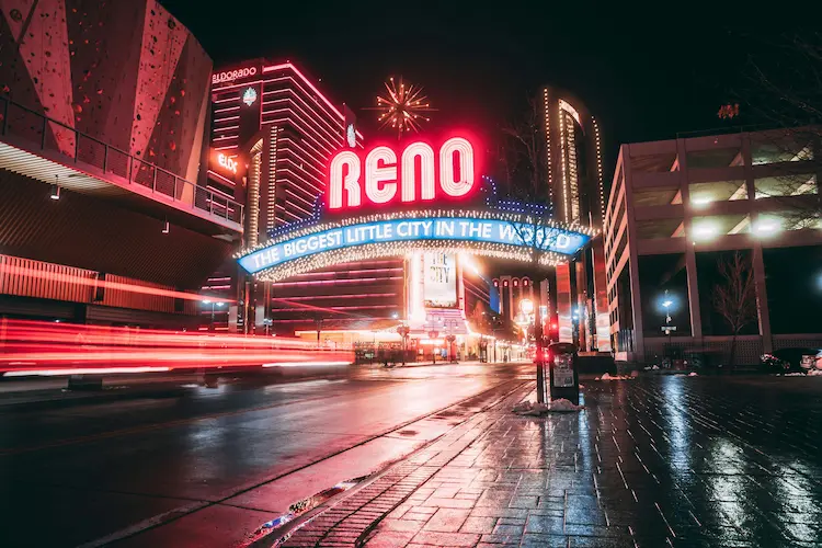 pest-control in reno