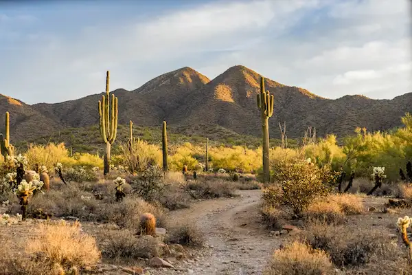 locksmith in scottsdale